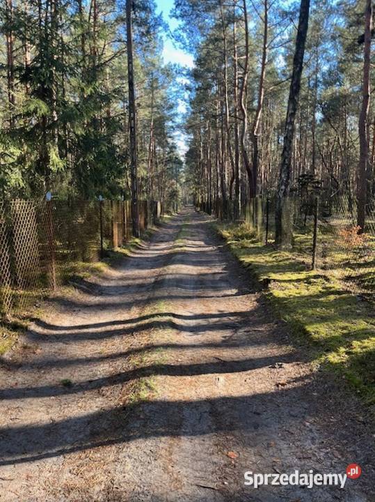 Syndyk sprzeda udział 12 w działce w Nowym mazowieckie Nowy Żabieniec