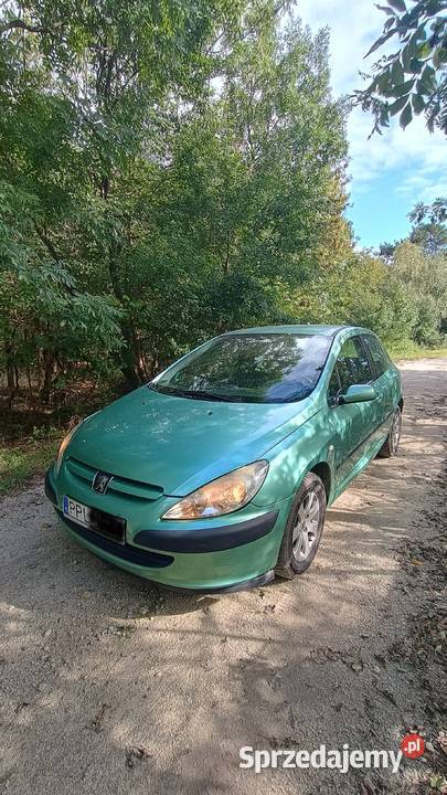 Sprzedam Peugeot 307 16 benzyna 109KM 307 Zielona Łąka