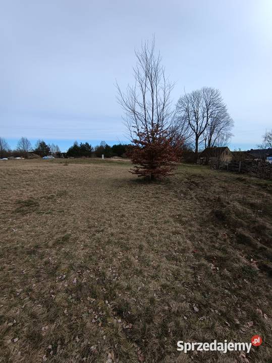 Działka rolna Przeradz gmina Grzmiąca Grunty i działki