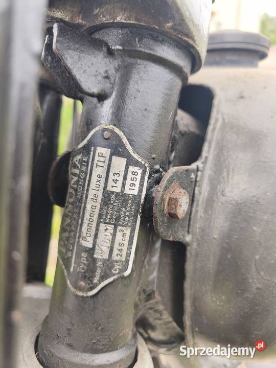 Pannonia TLF 250 Wiśniowa