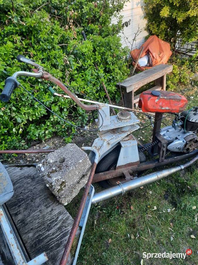 Trajka Dzik Trójkołowiec