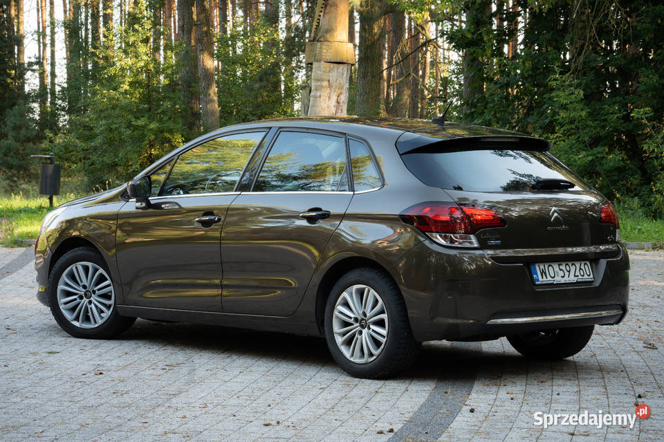 Citron C4 z rocznika 2015 w najbogatszej wersji 203000km C4 mazowieckie Ostrołęka