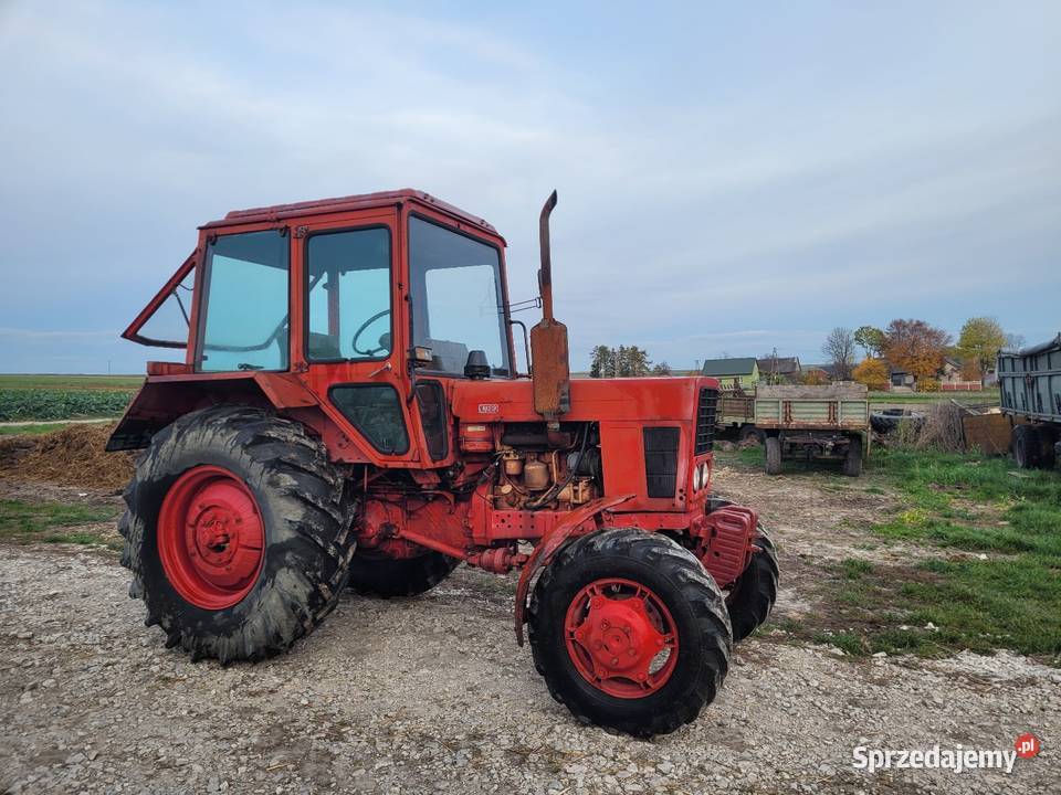 Sprzedam MTZ 82 4x4 Jędrzejów sprzedam