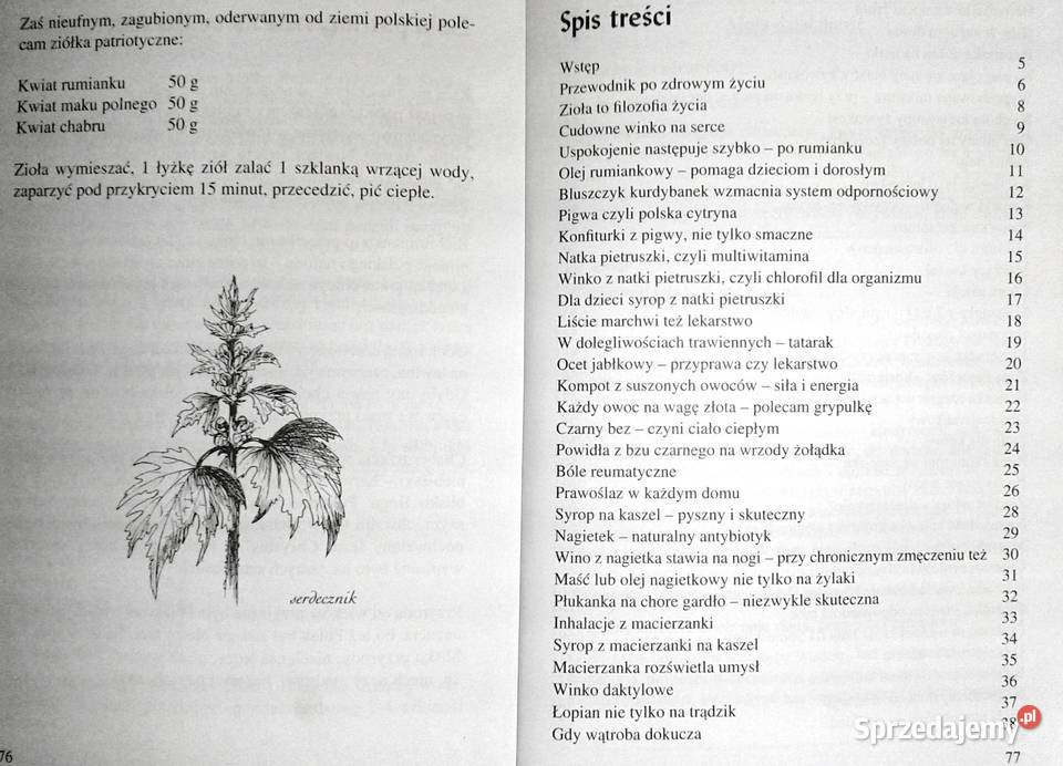 Przewodnik zdrowym życiu Stefania Korżawska miękka Chełm