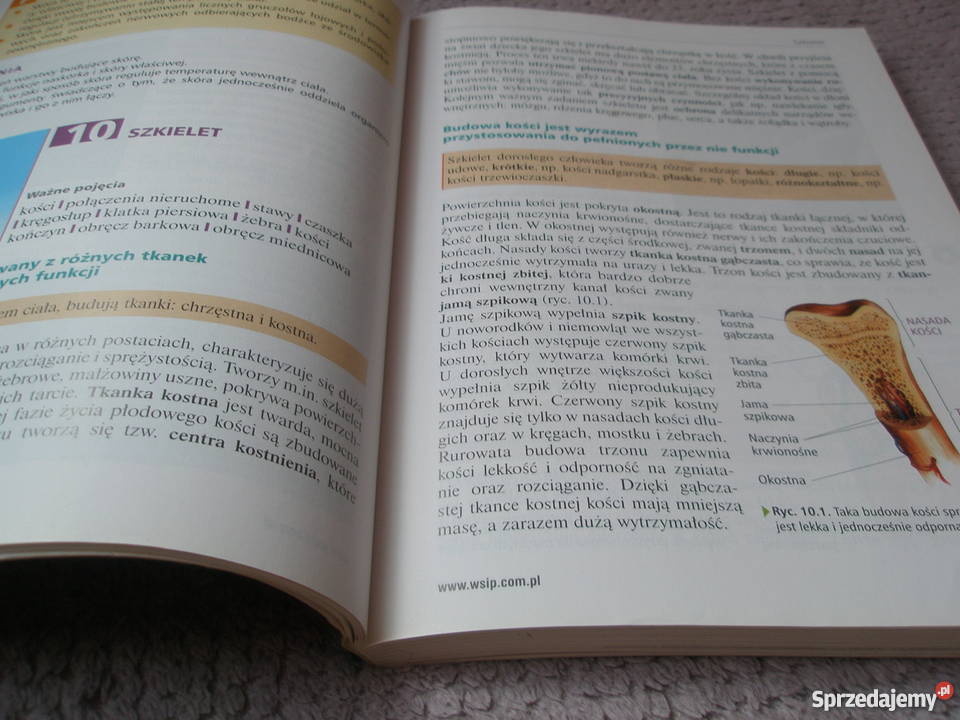 Ciekawa biologia cz2 E Kłos i inni