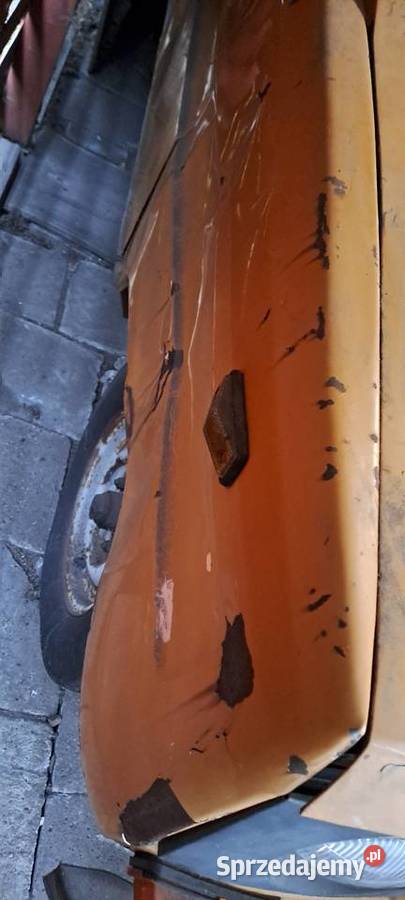 Tarpan blotniki Mińsk Mazowiecki