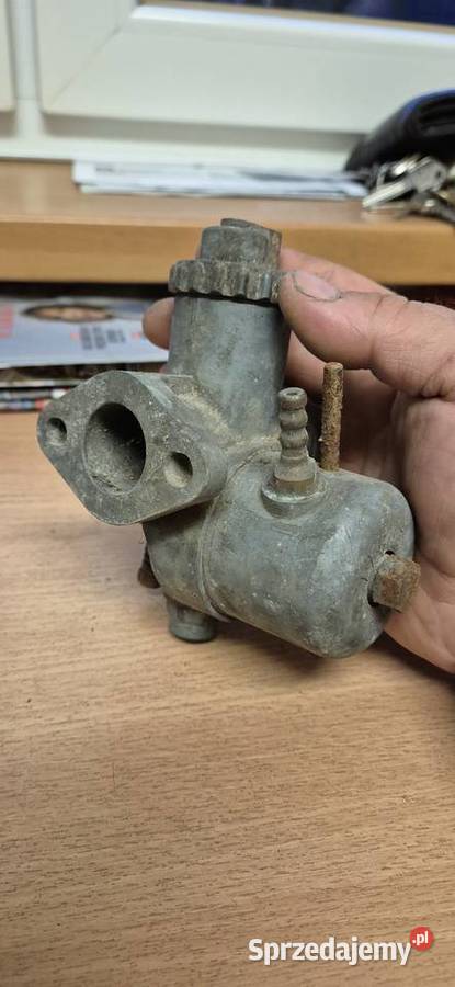 Junak gazela gaznik Pozostałe Tarnowskie Góry sprzedam