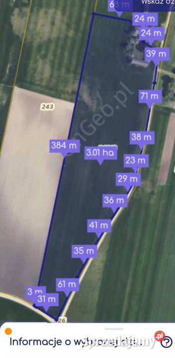 Siedlisko 4 ha z domem i zabudowaniami 4 kujawsko-pomorskie Stary Radziejów