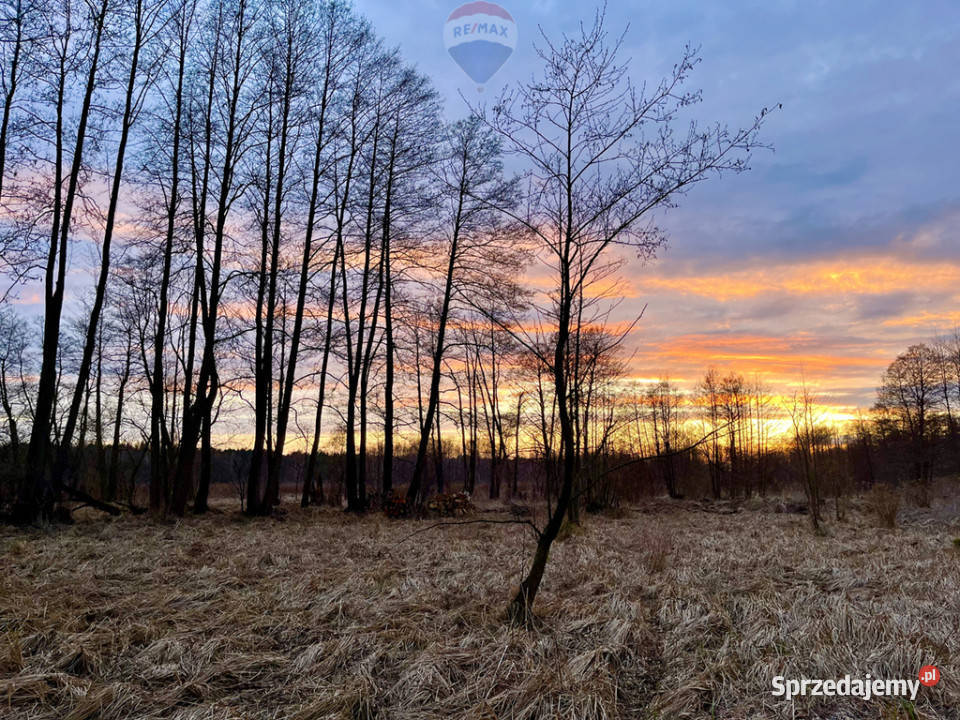 Duża działka rolnobudowlana 28823 ha Mariew