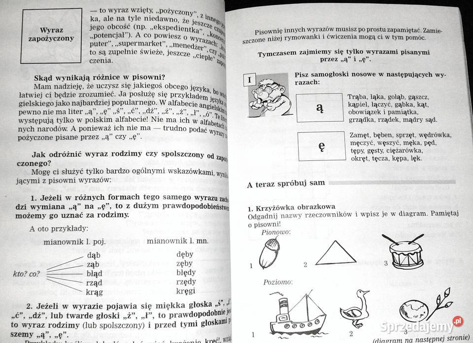 Dyktanda i zabawy ortograficzne Kl 456 Barbara Chełm