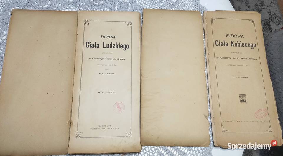 Budowa ciała ludzkiego 1901r budowa ciała Rok wydania 1901 Orzesze