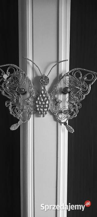 Motyl na ścianę lubelskie Zamość