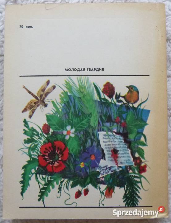 Dziwny dzień Dmitrij Szaszurin rosyjsku Książki i Podręczniki Warszawa