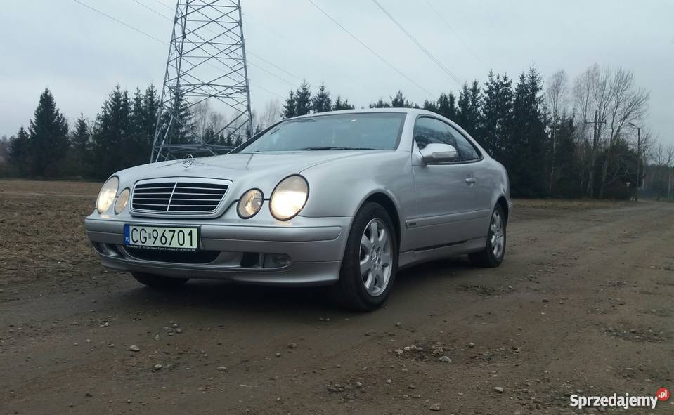sprzedam ładnego mercedesa clk z niezawodnym Grudziądz