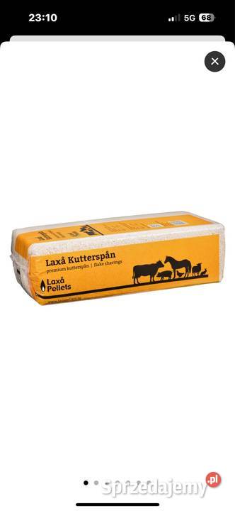 Pyton królewski z terrarium Gady i płazy małopolskie Nowy Sącz sprzedam