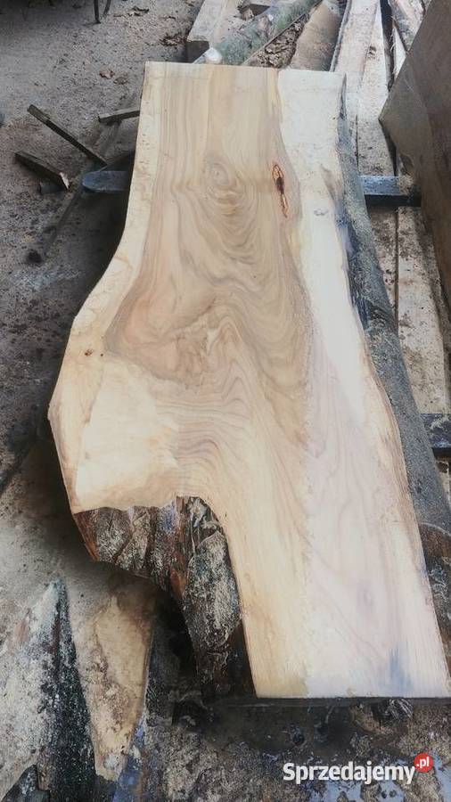 Plastry talary krążki drewna Pieńki na stolik Izdebnik