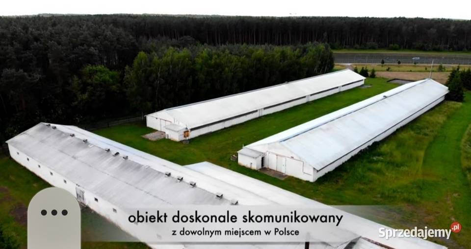 Sprzedam 4 hale 5200m2 S3 Skwierzyna