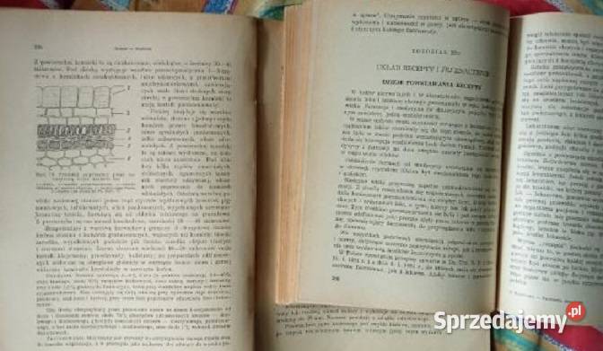 Zarys mikrobiologii farmaceutów Zarys biologia, ekologia Łódź sprzedam