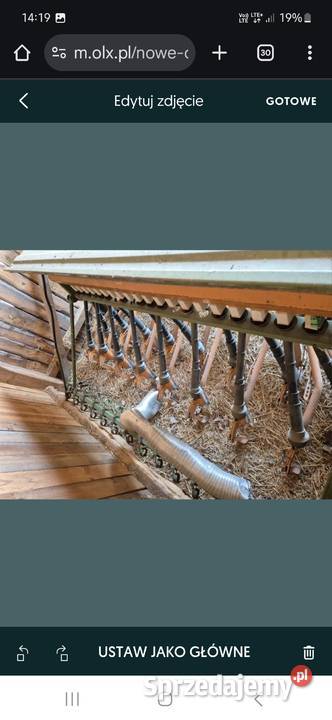 Siewnik amazone 25 d7 spezcial rowniez do Siewniki i sadzarki Dąbrowa Tarnowska