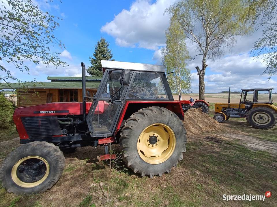 Zetor 81 11 Turbo Zarejestrowany warmińsko-mazurskie Nowe Miasto Lubawskie sprzedam