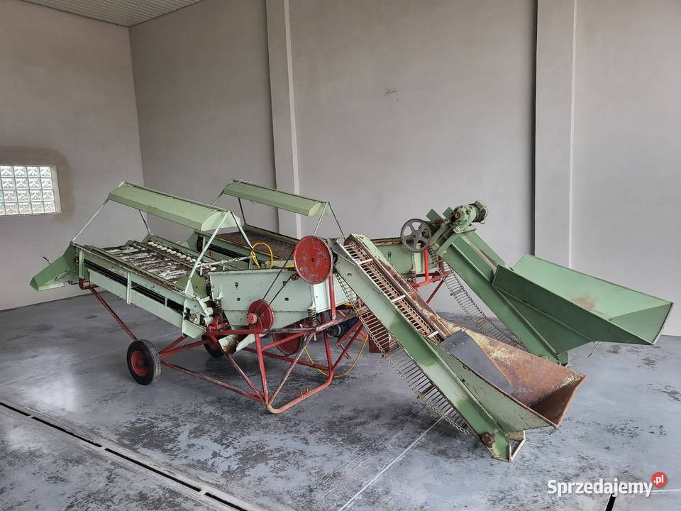 Sortownik do ziemniaków mazowieckie Góra Kalwaria sprzedam