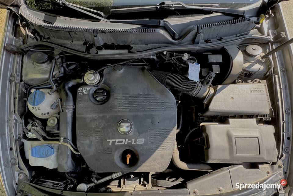 Seat Leon 1 19 TDI 110 produkcji 2005 Dębica