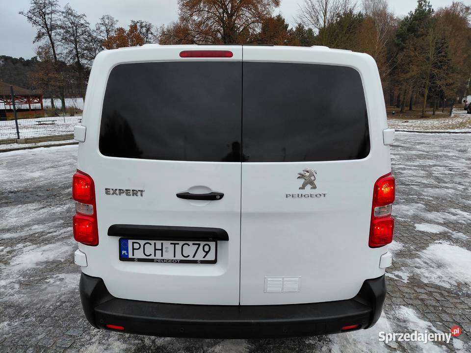 Peugeot Expert 20 HDI 120 LONG 6 Osób Niski