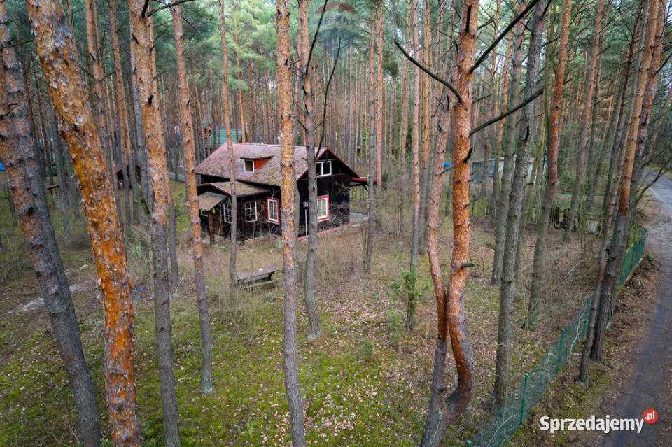 Sprzedażdziałka z MPZP1900 m2Łosie Radzymin 35.5m