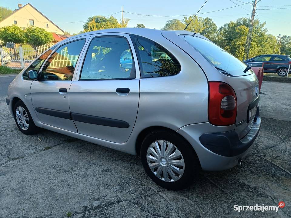 Citroen Xsara Picasso 16 Benzyna Sprawny Xsara Picasso Bierawa