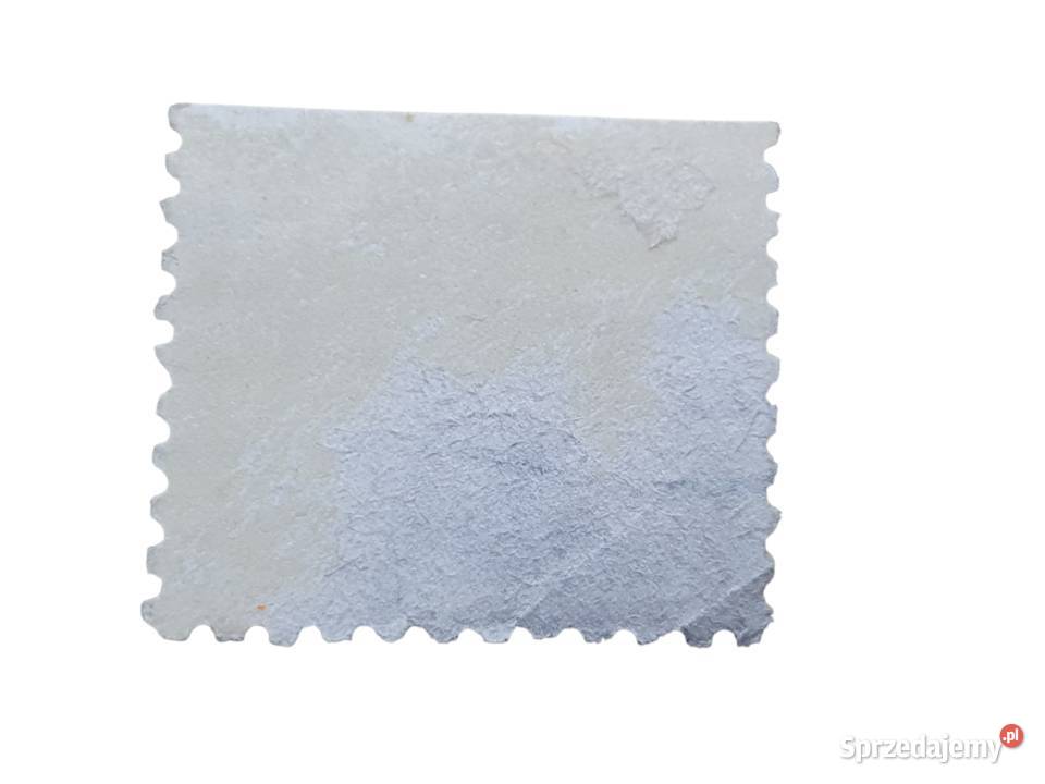 Stary znaczek pocztowy amerykański Wood Duck 29 Cieszyn