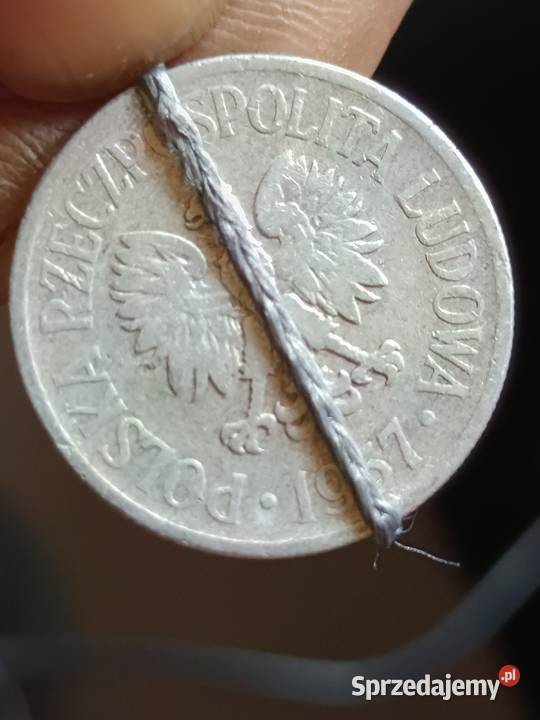 sprzedam monete 50 groszy 1957 skretka lekka Chełm