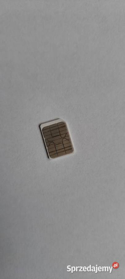 Translator VASCO MINI 2 Jędrzejów