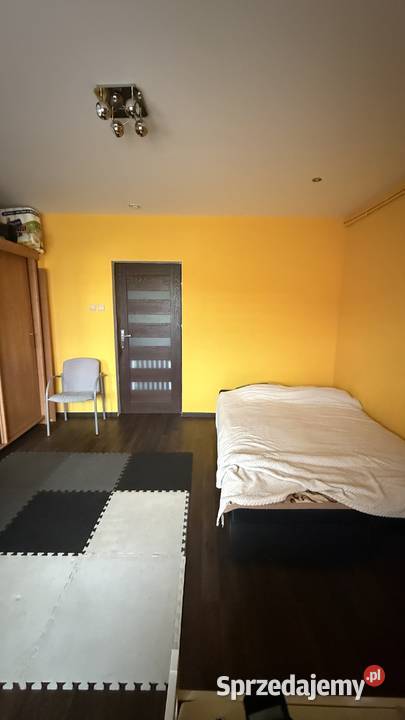 Siedlisko 1 ha dom 120m2 i budynki 700 m2 Nasielsk