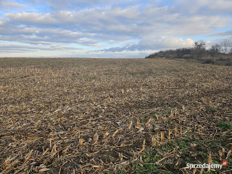 Działka w rozwijającej się okolicy 5080m2 Nieruchomości Snowidza