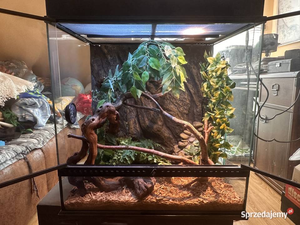 Terrarium Exo Terra 60x45x60 z wyposażeniem Warszawa