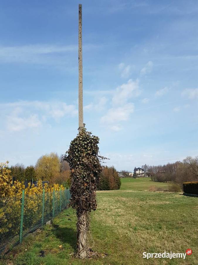 Słup energetyczny żelbetonowy