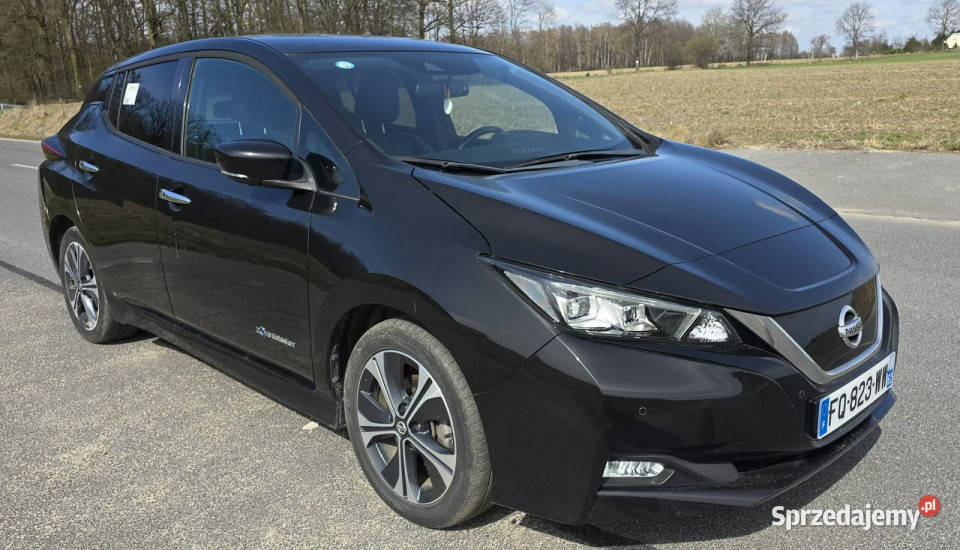 Nissan Leaf 64000 wielkopolskie Pleszew