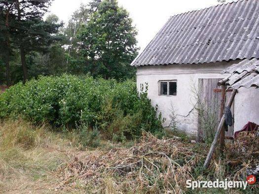 Do Siedlisko i Działka w gm Raciąż Domy Mława