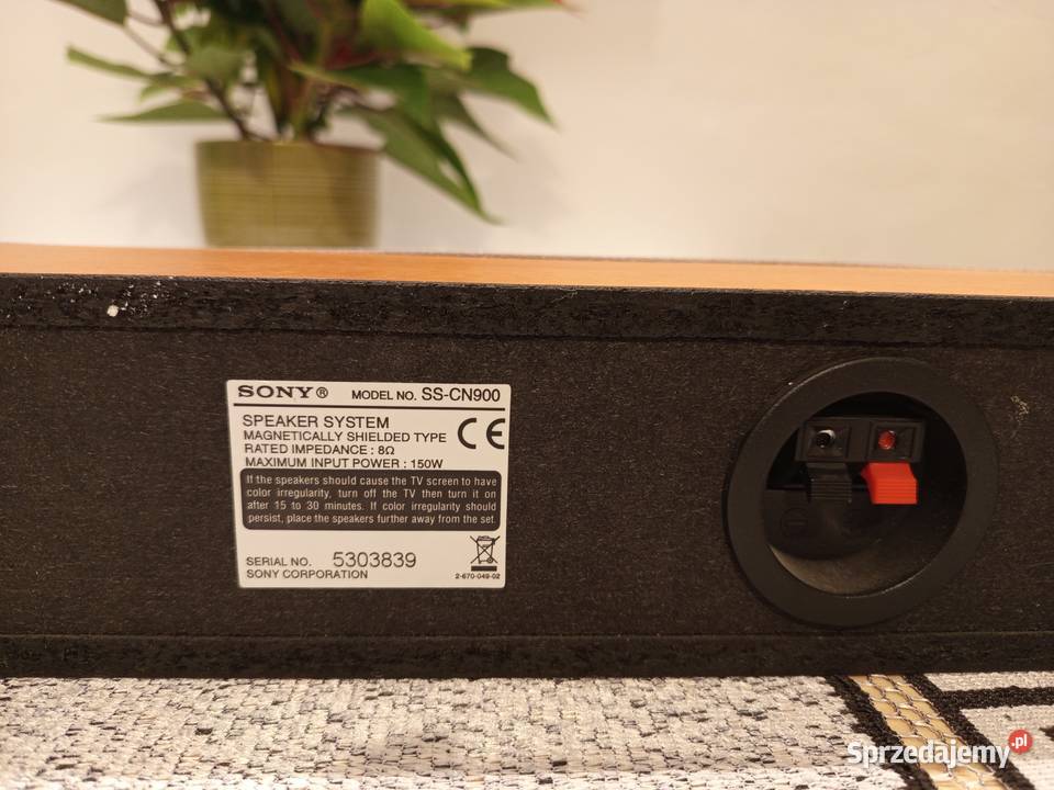 Głośniki Sony sssr250 i sscn900 do kina domowego Józefosław
