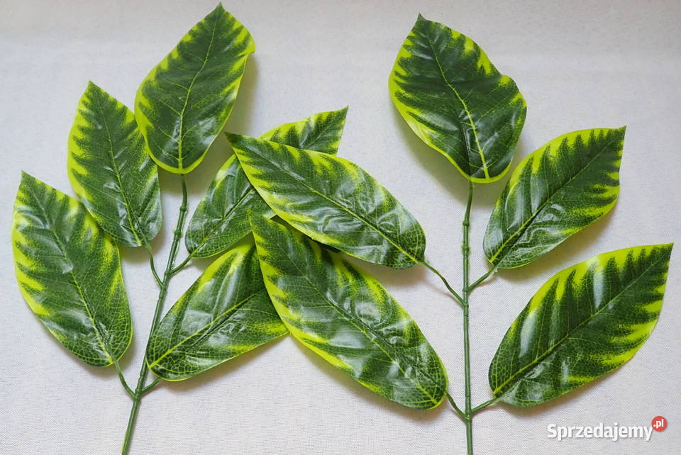 Liście ozdobne 5 na gałązce Zx1 Siewierz