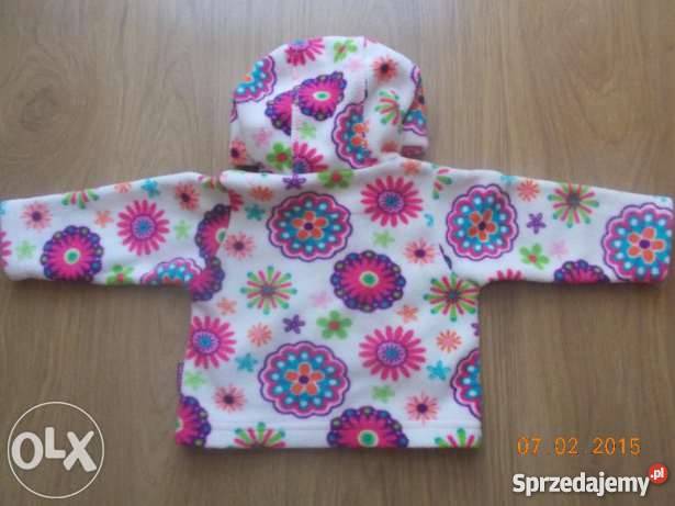 Polarek dzidziusia Kłodzko