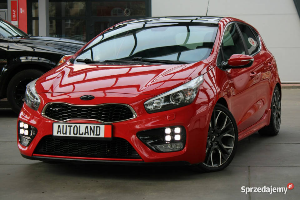 Kia Ceed Bezwypadkowy bogata wersja