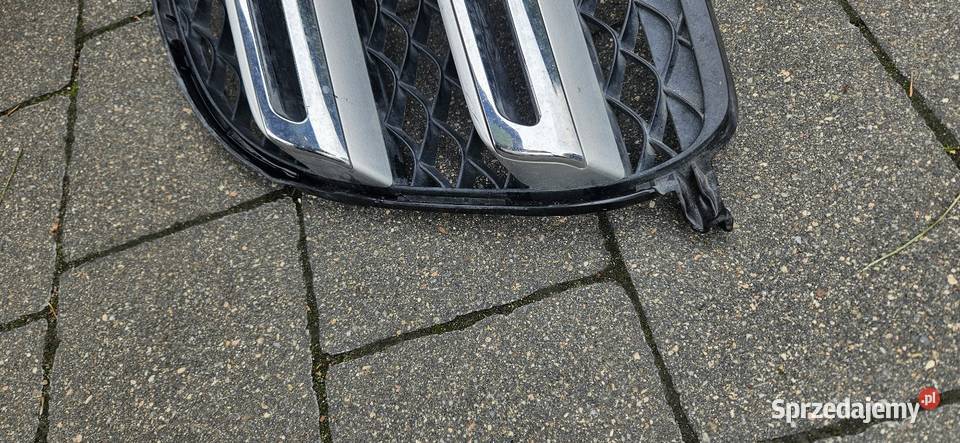 Grill Mercedes GLS 2017 x166 Sierakowo