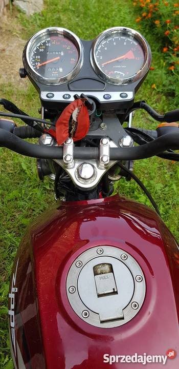 Motorower Zipp Manic 50 mały przebieg kupiony w polskim salonie Kodeń