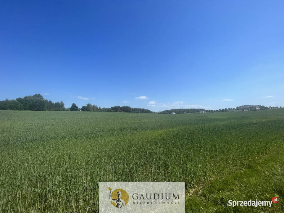 Działka o powierzchni 3012 m2 I gm Kolbudy