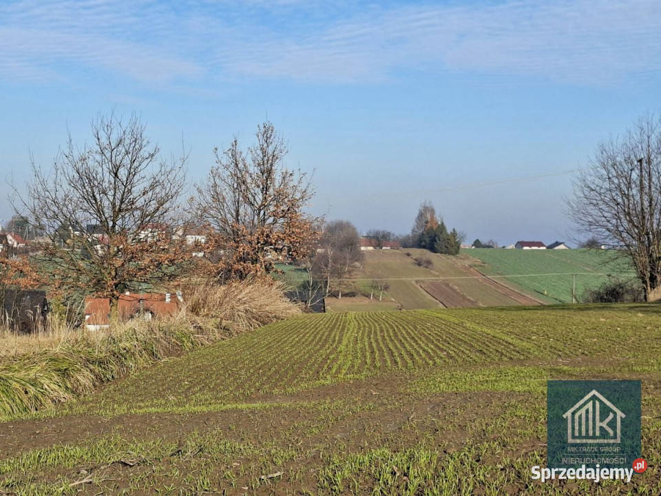 Sprzedam działka 1014m Szarów 1014m2