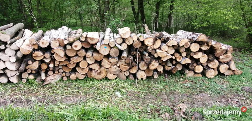 Drewno opałowe Sanok
