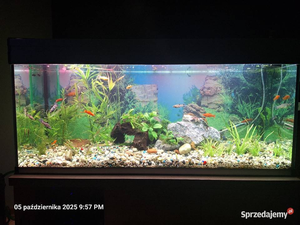 Akrawium 240 l sprzedam