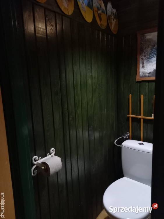 Dom wiejski bez sąsiadów lubuskie ok Janiszowic Janiszowice