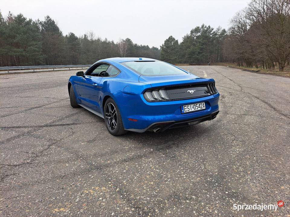Ford Mustang 23 ecoboost Lasek